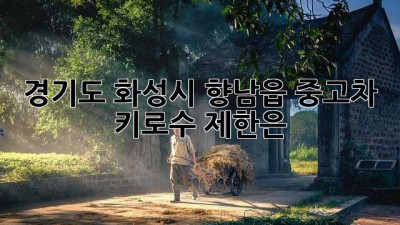 경기도 화성시 향남읍 중고차, 키로수 제한은?